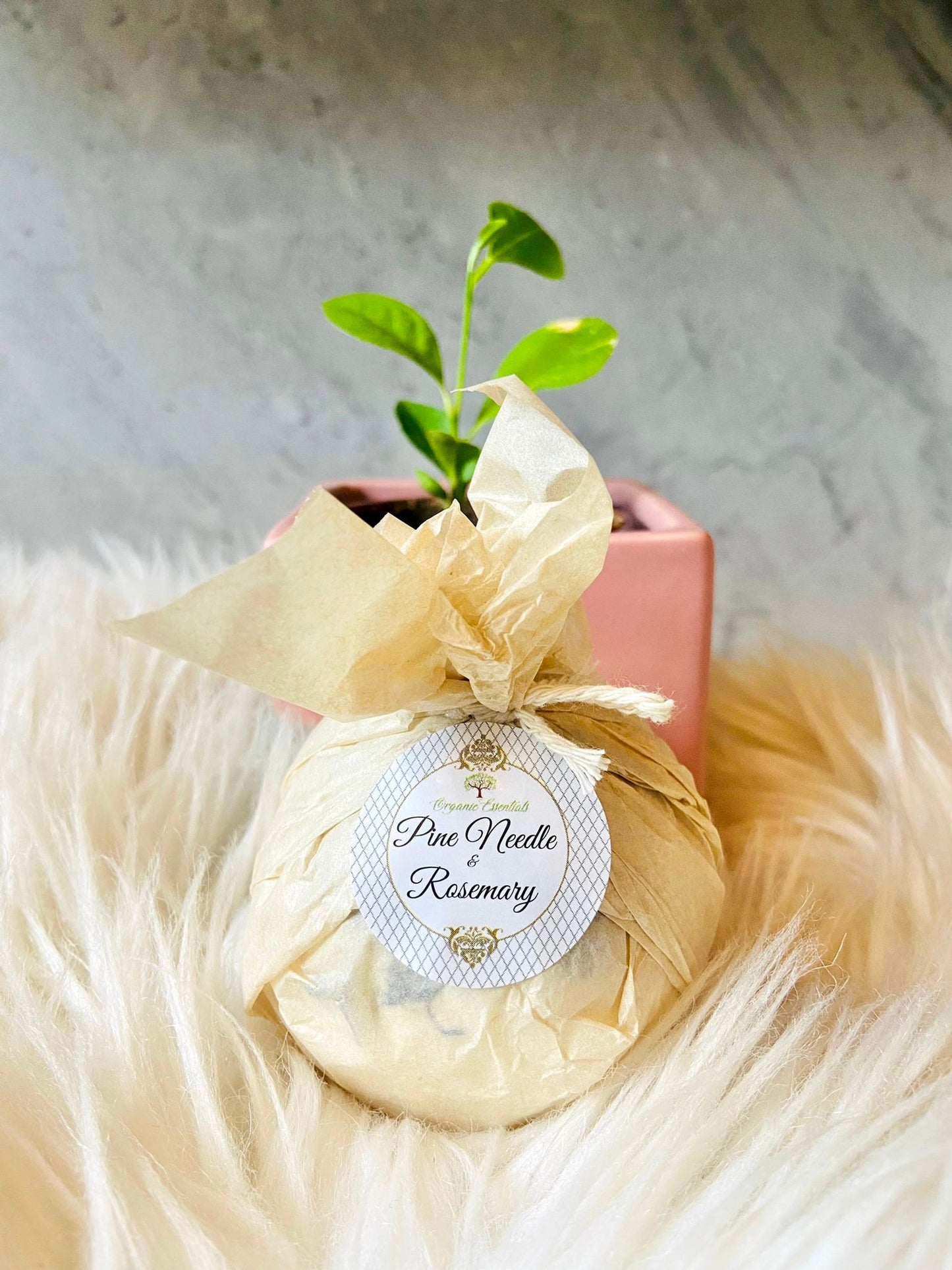 Therapeutic Bath Bomb - Pine Needle & Rosemary Essential Oils