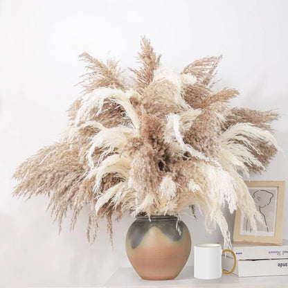 Large Pampas Grass Decor