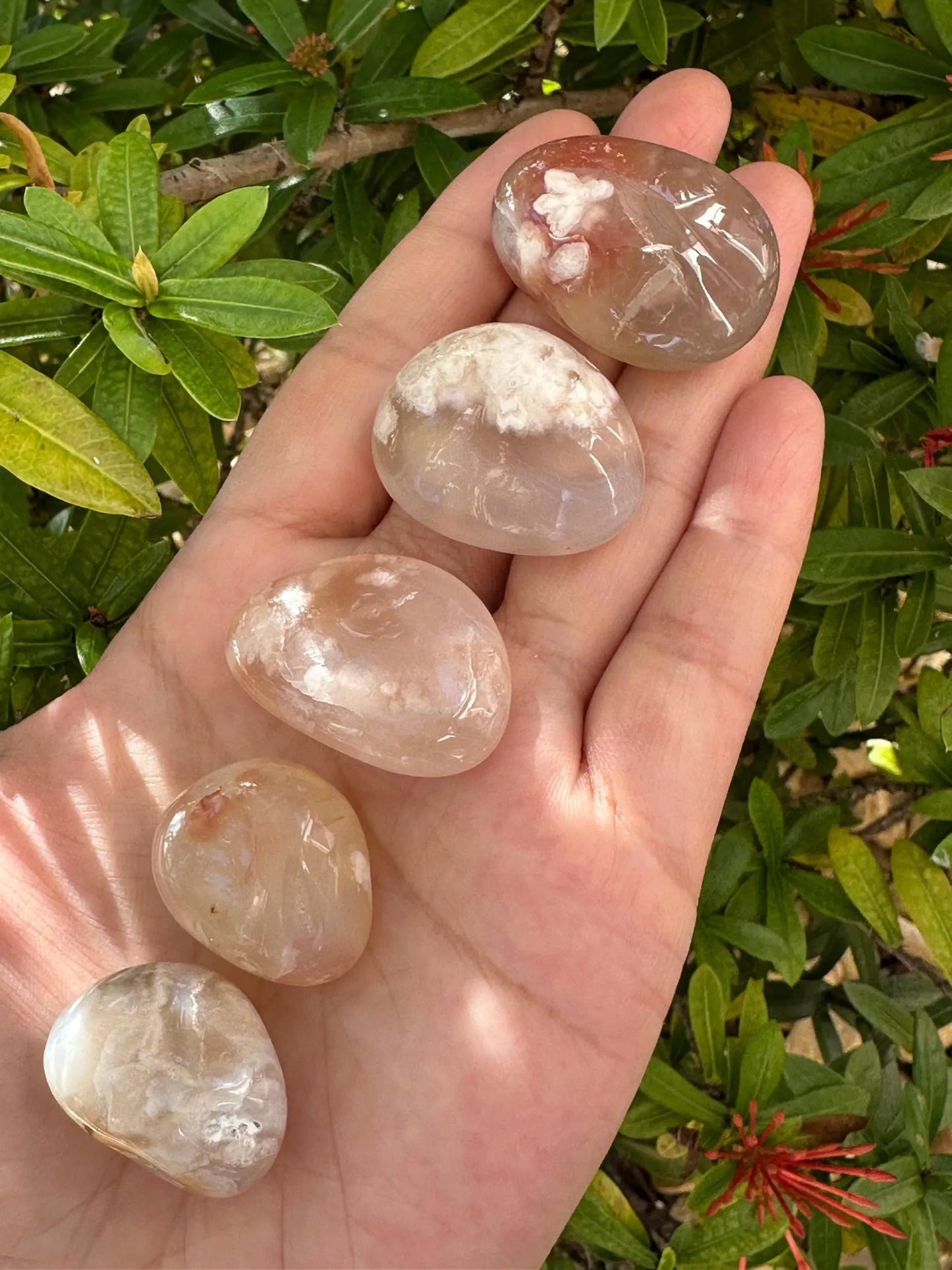Bloodstone Tumbled Stones